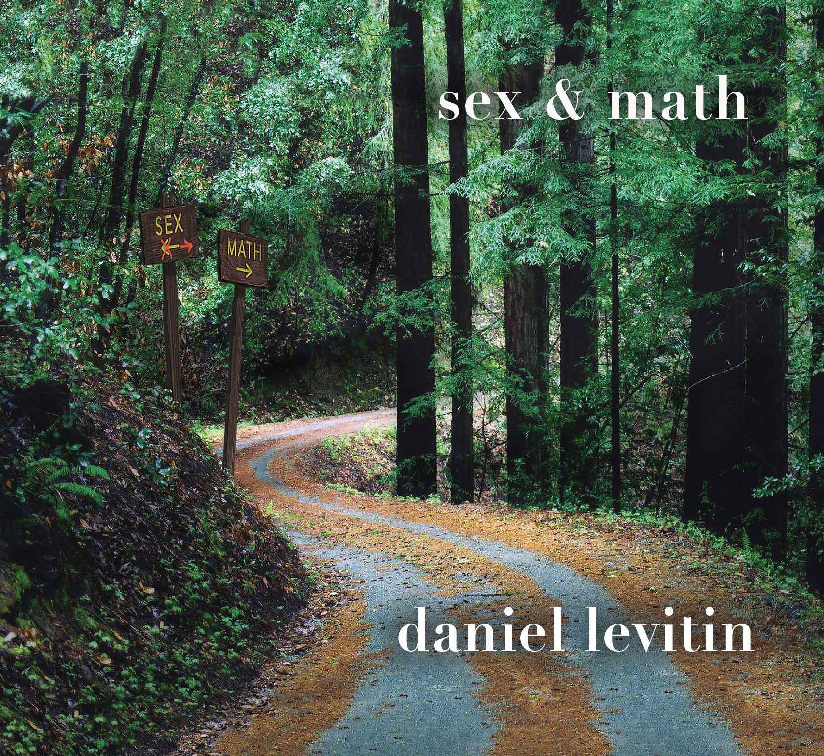 洋楽 Daniel Levitin Turnaround CD Music — Daniel Levitin
